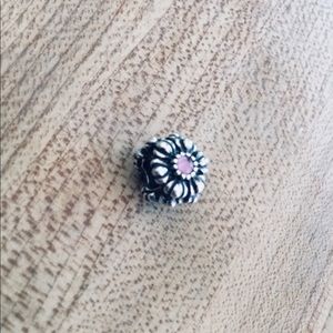 🌸 PANDORA Charm 🌸